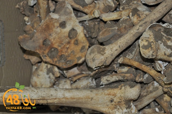 maqbara qeshleah (9).JPG